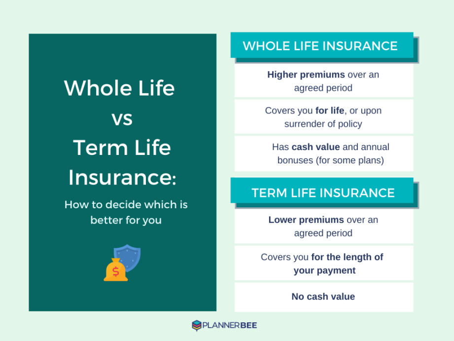 Term Life vs Whole Life Insurance: Which Should You Get? - Planner Bee